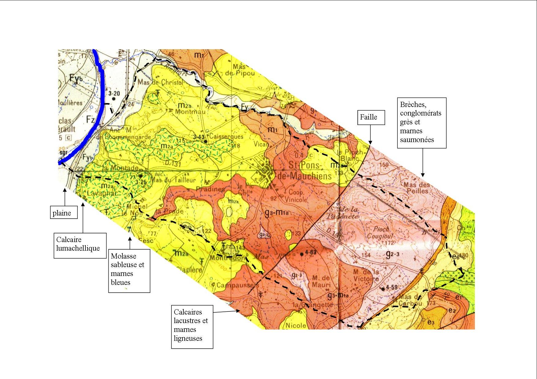 - la plaine de l’Hérault (Fy) composée d’alluvions récentes (Pléistocène supérieur)